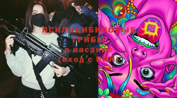 гашик Аркадак
