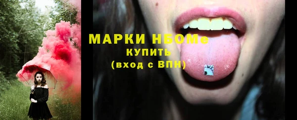 гашик Аркадак