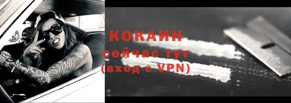 гашик Аркадак