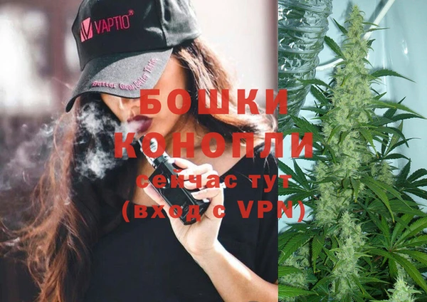 гашик Аркадак